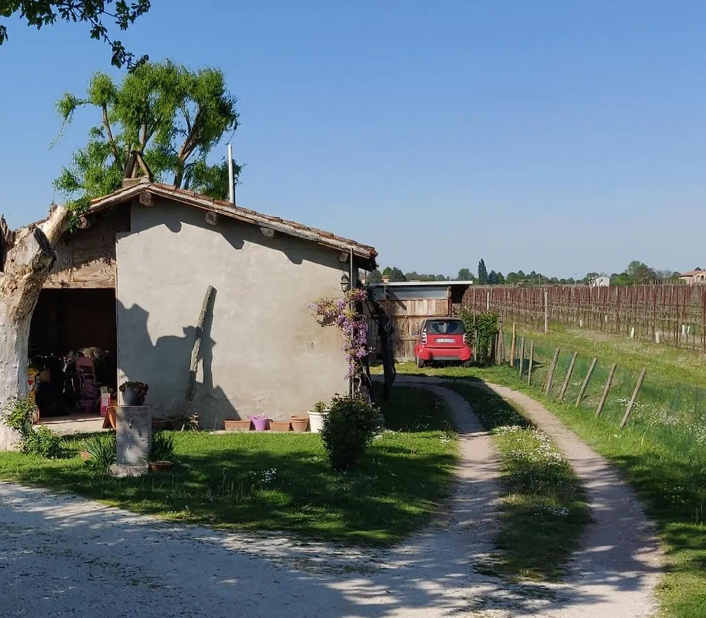 B&B Il Glicine Nascosto Cotignola Bed and Breakfast