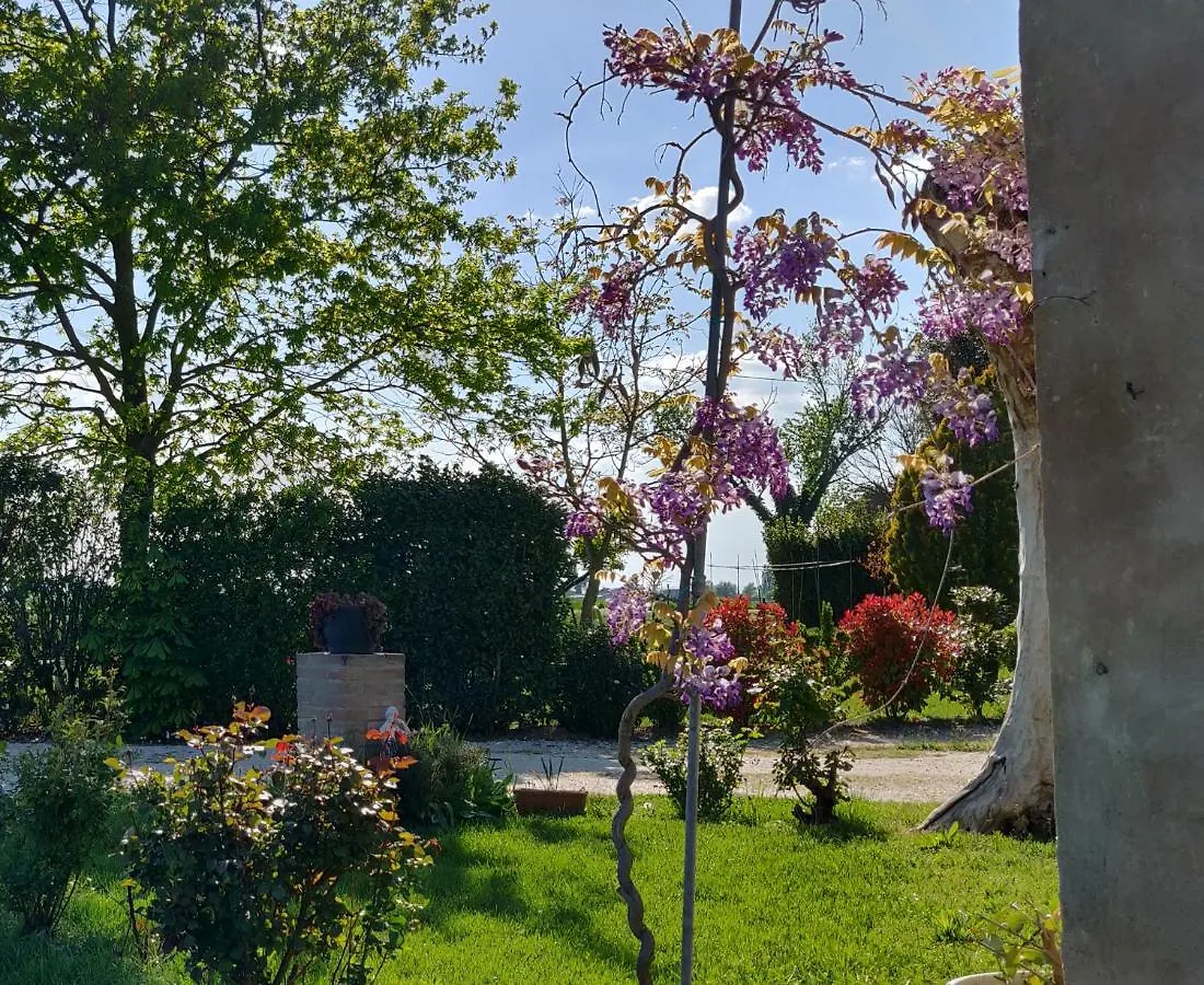 B&B Il Glicine Nascosto Cotignola Bed & Breakfast