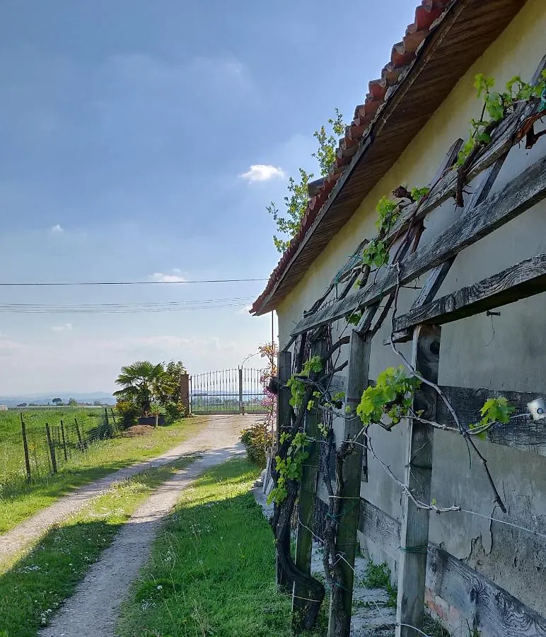 B&B Il Glicine Nascosto Cotignola